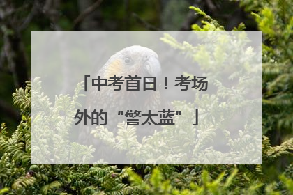 中考首日！考场外的“警太蓝”